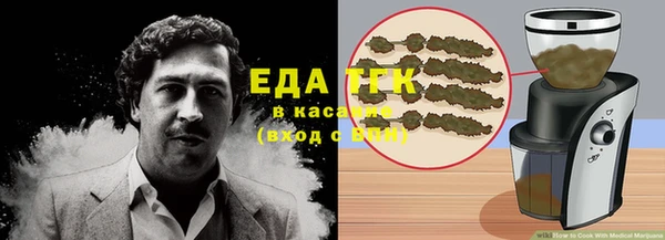 индика Алексин