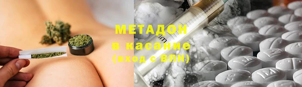 индика Алексин