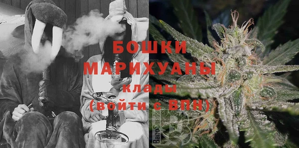 индика Алексин