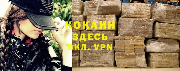 индика Алексин