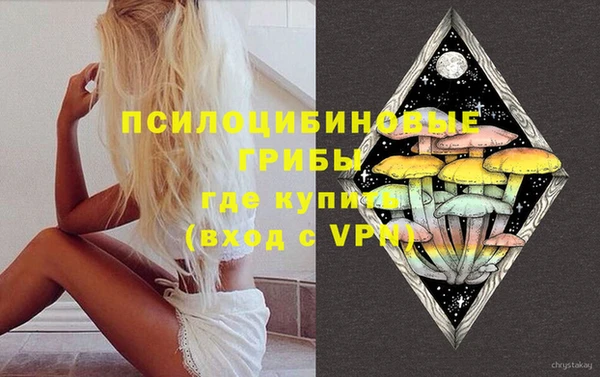 шишки Алексеевка