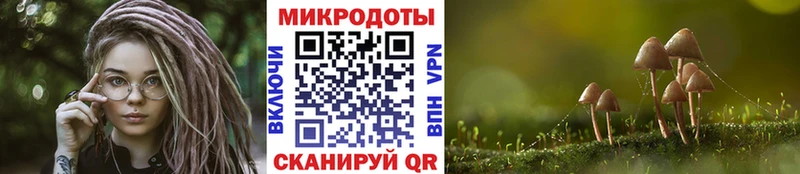 Галлюциногенные грибы Psilocybine cubensis  цена   Алексеевка 