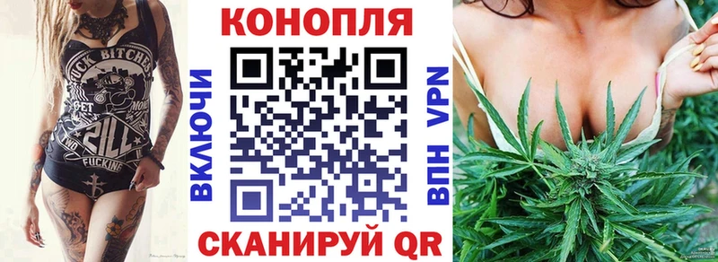 Шишки марихуана конопля  где можно купить наркотик  Алексеевка 